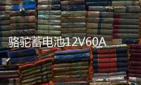 骆驼蓄电池12V60A适配长安悦翔CS35志翔逸动欧诺1DF汽车电瓶L2350
